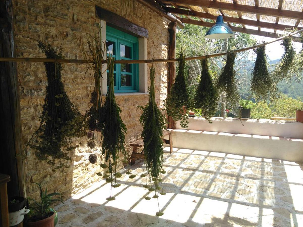 Masseria Cata Catascia Bed and Breakfast Tortorella Buitenkant foto